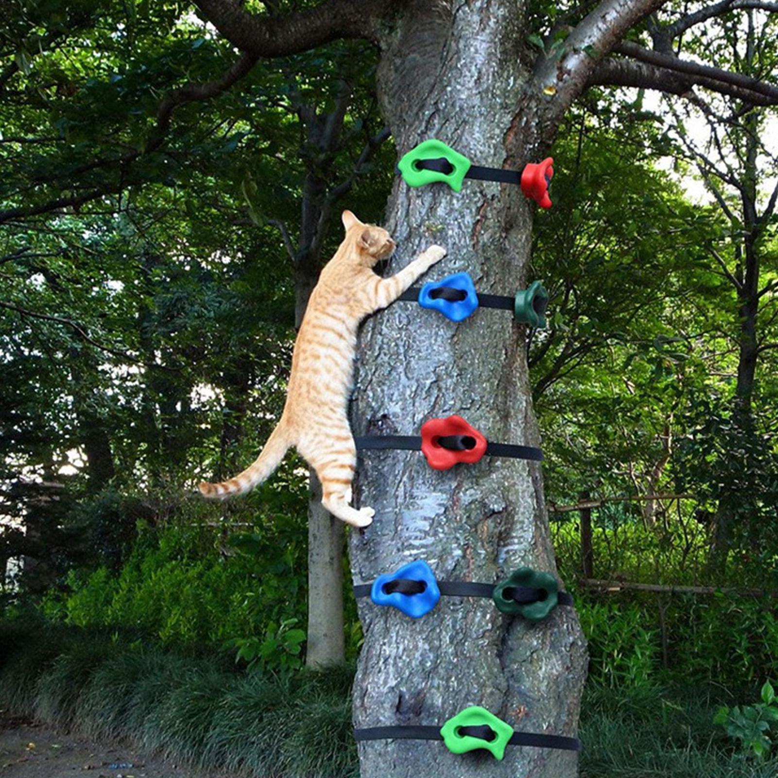 Buitenspeelgoed voor klimmen,  - Outdoor Adventure Course recensie en prijs